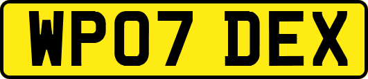 WP07DEX