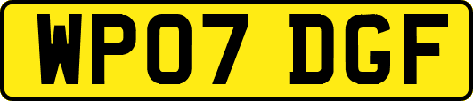 WP07DGF