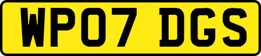 WP07DGS