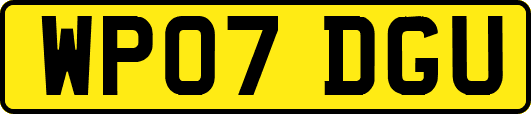 WP07DGU
