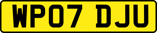 WP07DJU