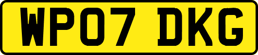 WP07DKG