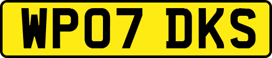 WP07DKS