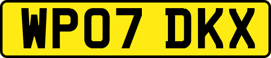 WP07DKX