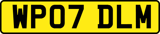 WP07DLM