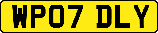 WP07DLY