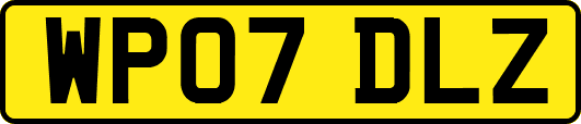 WP07DLZ