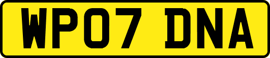 WP07DNA