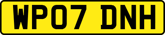 WP07DNH