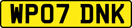 WP07DNK
