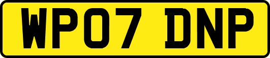 WP07DNP