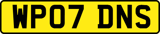 WP07DNS