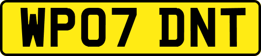 WP07DNT