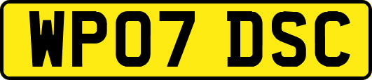 WP07DSC