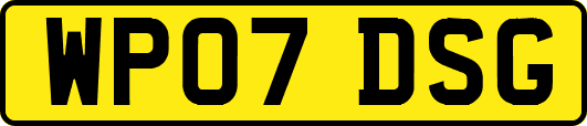 WP07DSG