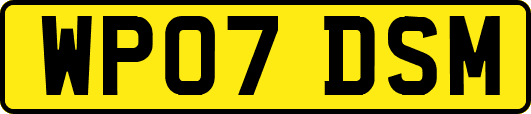 WP07DSM