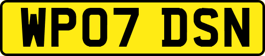 WP07DSN