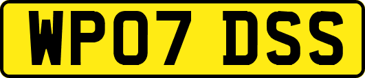 WP07DSS