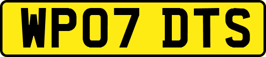 WP07DTS