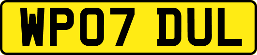 WP07DUL