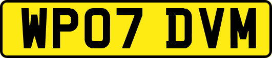 WP07DVM