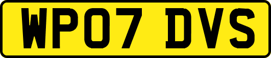 WP07DVS