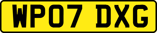 WP07DXG