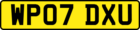 WP07DXU