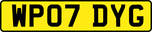 WP07DYG