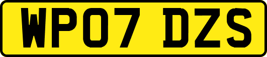 WP07DZS