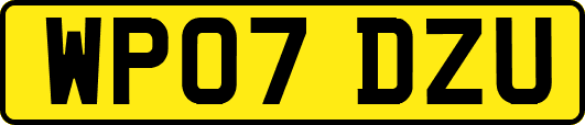 WP07DZU