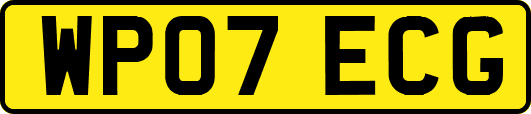 WP07ECG