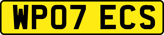 WP07ECS