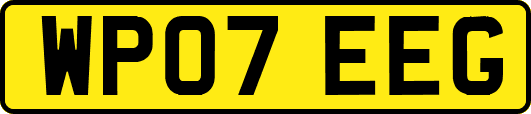 WP07EEG