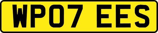 WP07EES