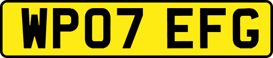 WP07EFG