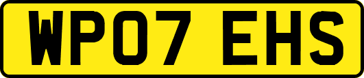 WP07EHS