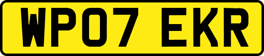 WP07EKR