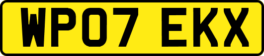 WP07EKX