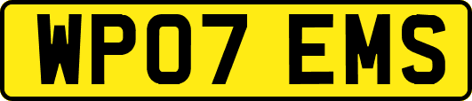 WP07EMS