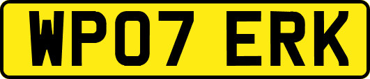 WP07ERK