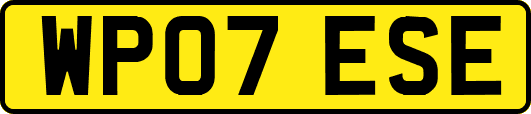 WP07ESE