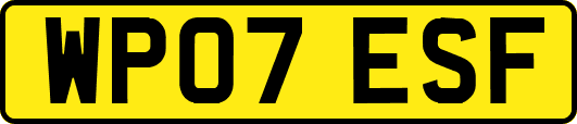 WP07ESF