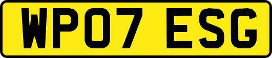 WP07ESG