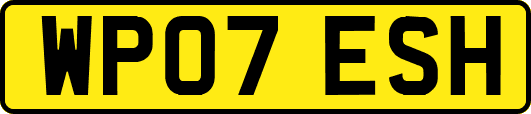 WP07ESH