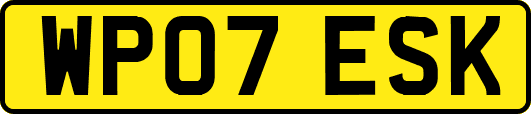 WP07ESK