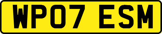 WP07ESM