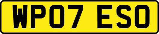 WP07ESO