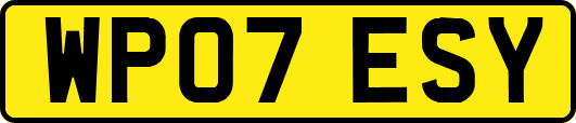 WP07ESY