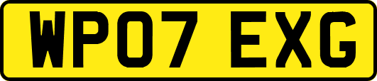 WP07EXG